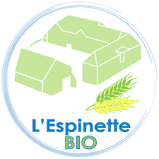 Demo Logo